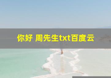 你好 周先生txt百度云